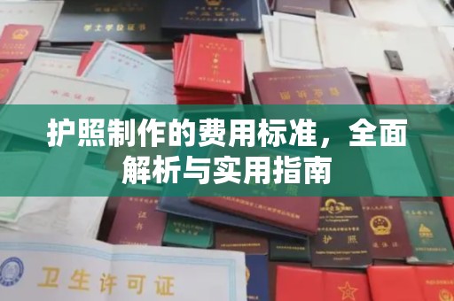 盐津护照制作的费用标准，全面解析与实用指南
